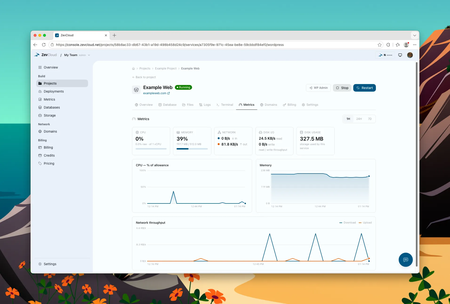 A single service's Metrics tab on ZevCloud, with tiles for CPU, memory, network, disk activity and disk usage above CPU and memory trend charts.